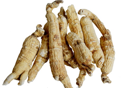 Ginseng